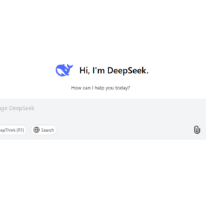 DeepSeek